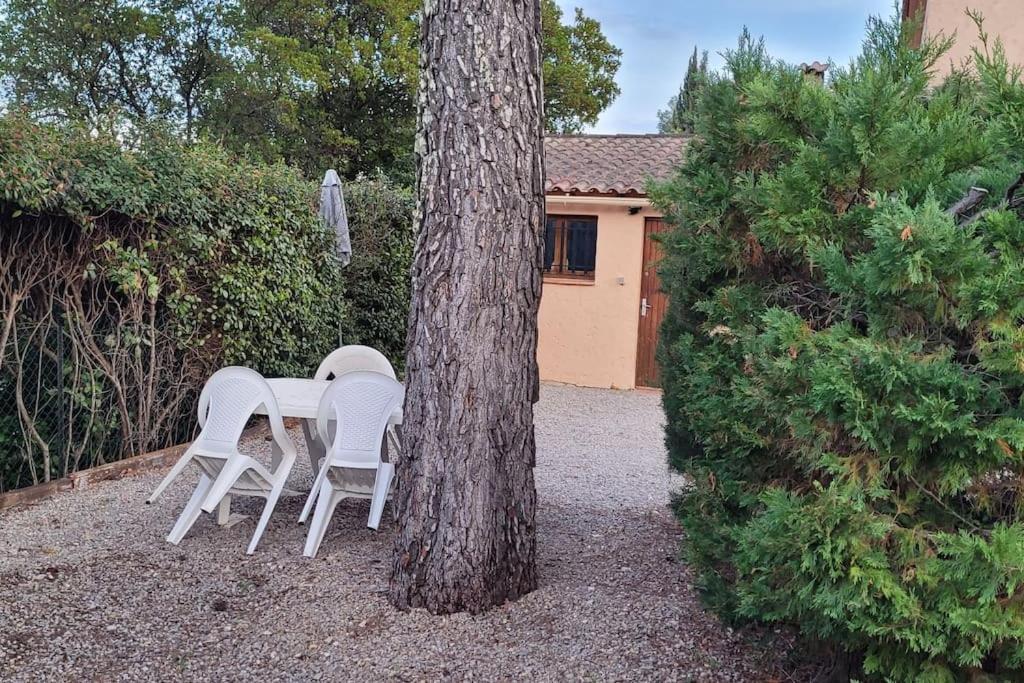 Appartement Dans Une Villa Au Coeur De La Provence Trans-en-Provence Exterior photo