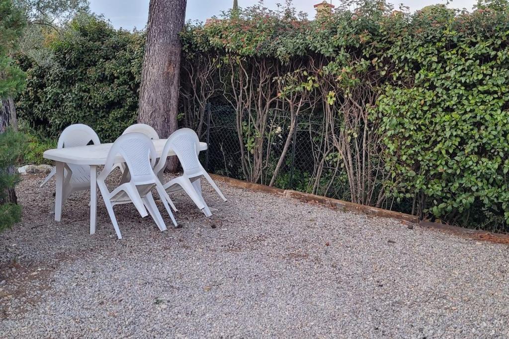Appartement Dans Une Villa Au Coeur De La Provence Trans-en-Provence Exterior photo